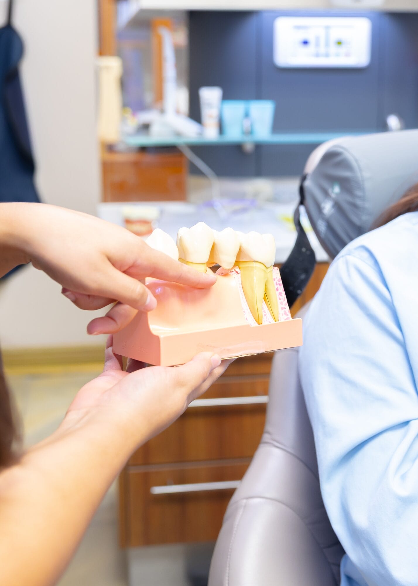 A dental model with crowns held in a Barataria Dental team member's hand